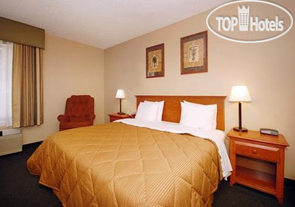 New photos from tourists Comfort Inn Palm Springs 2*