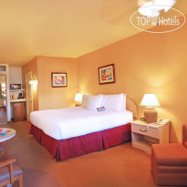 Palm Mountain Resort & Spa 