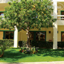 Palm Mountain Resort & Spa 