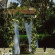 Four Seasons Resort The Biltmore Santa Barbara 