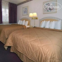 Comfort Inn Palo Alto 