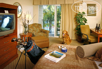 New photos from tourists Best Western Royal Oak 2*