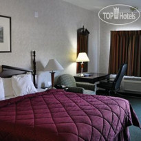 Comfort Inn Yosemite Area 