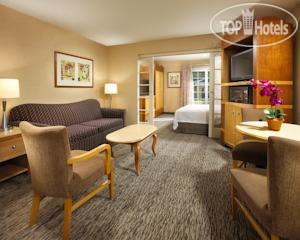 New photos from tourists Portofino Inn & Suites Anaheim 3*