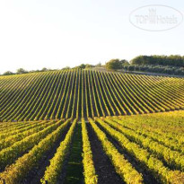 Doubletree Hotel Sonoma Wine Country