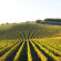 Doubletree Hotel Sonoma Wine Country 