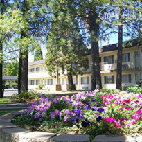 Best Western Gold Country Inn 