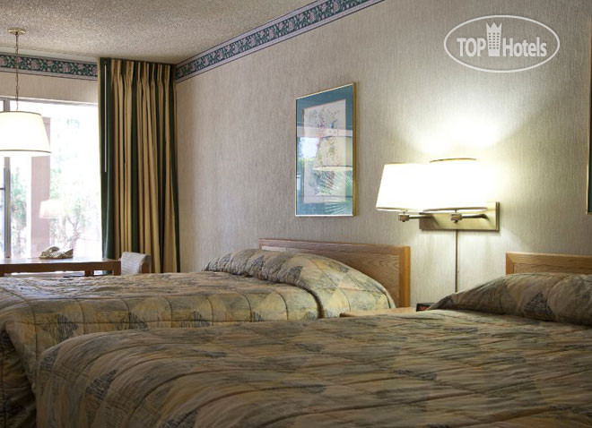 New photos from tourists Vagabond Inn Palm Springs 2*