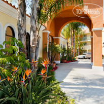 Cortona Inn & Suites Anaheim Resort