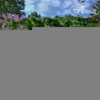 Sycamore Mineral Springs Resort 