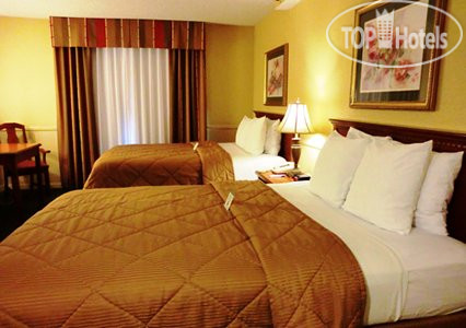 New photos from tourists Comfort Inn Ventura Beach 3*