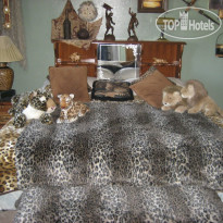 Alaska European Bed & Breakfast