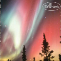 Golden North Motel 