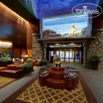 Alyeska Resort Girdwood
