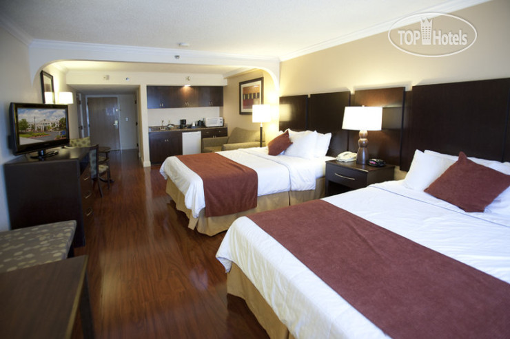 New photos from tourists Best Western Plus Ambassador Suites Venice 3*