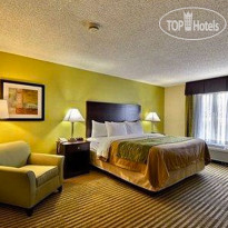 Comfort Inn & Suites Airport Clearwater