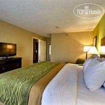 Comfort Inn & Suites Airport Clearwater