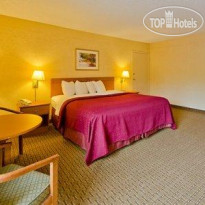 Quality Inn Busch Gardens 