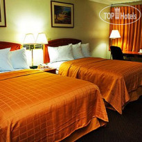 Quality Inn Airport