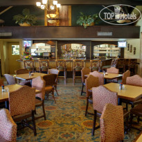 Best Western Plus Aku Tiki Inn 