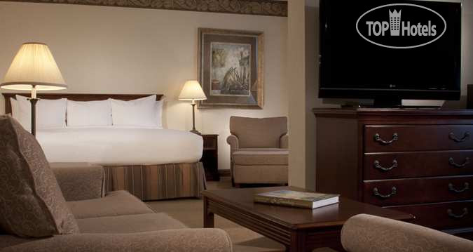 New photos from tourists Hilton St. Petersburg Bayfront 3*
