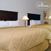 Comfort Inn & Suites Airport Fort Myers