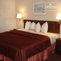 Howard Johnson Hotel - Tampa Airport Stadium