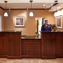 Staybridge Suites Tampa East- Brandon 