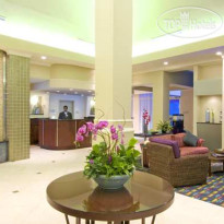 Hilton Garden Inn Tampa Airport Westshore 