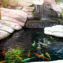 Radisson Resort at the Port 