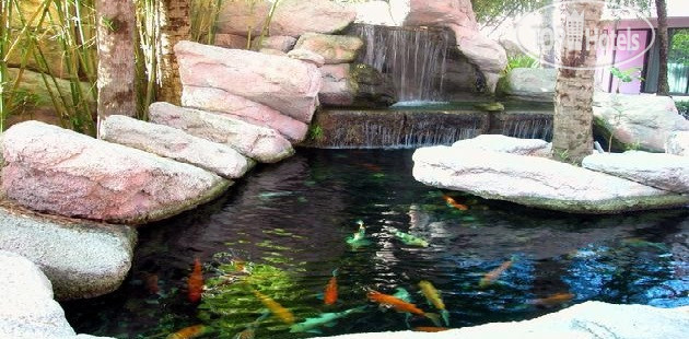 New photos from tourists Radisson Resort at the Port 3*