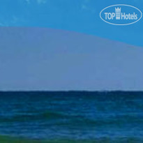 Alexander Palms Court 