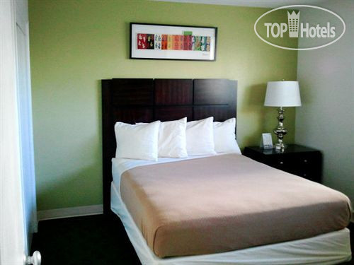 New photos from tourists Algiers Gulf Resort 2*