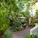 Island City House Hotel Сад