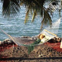 Bluegreen Vacations Hammocks at Marathon an Ascend Resort 