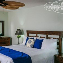 Coconut Palm Inn