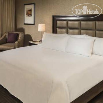 Hilton Tampa Downtown 