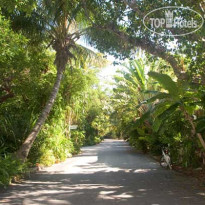 Banana Bay Resort Key West 