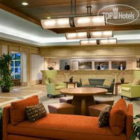 Sheraton Sand Key Resort 