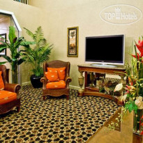 Holiday Inn Express Tampa Brandon 