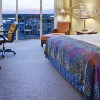 DoubleTree Beach Resort by Hilton Tampa Bay North Redington Beach 