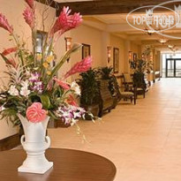 Acapulco Hotel And Resort 