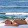 Shores Resort and Spa  