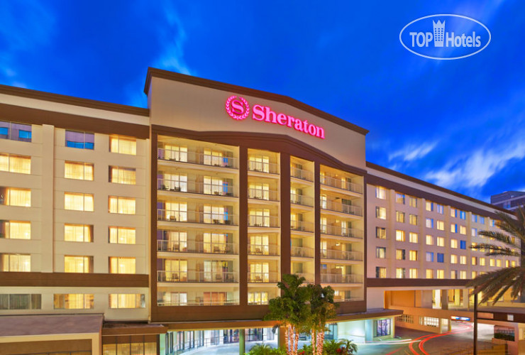 Hotel photo Sheraton Tampa Riverwalk  3*