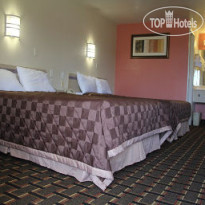 Knights Inn Punta Gorda 