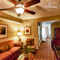 Hilton Garden Inn Fort Myers Airport FGCU 