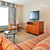 Hilton Garden Inn Tampa North 