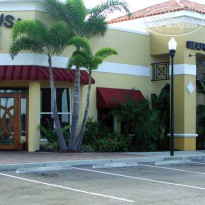 Hilton Garden Inn Tampa Northwest Oldsmar 