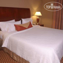 Hilton Garden Inn Tampa Northwest Oldsmar 