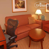 Hilton Garden Inn Tampa Northwest Oldsmar 